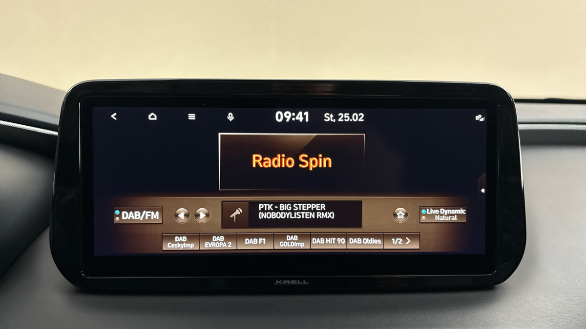 Hyundai Santa Fe - 11