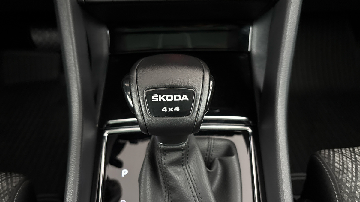 Škoda Karoq - 24