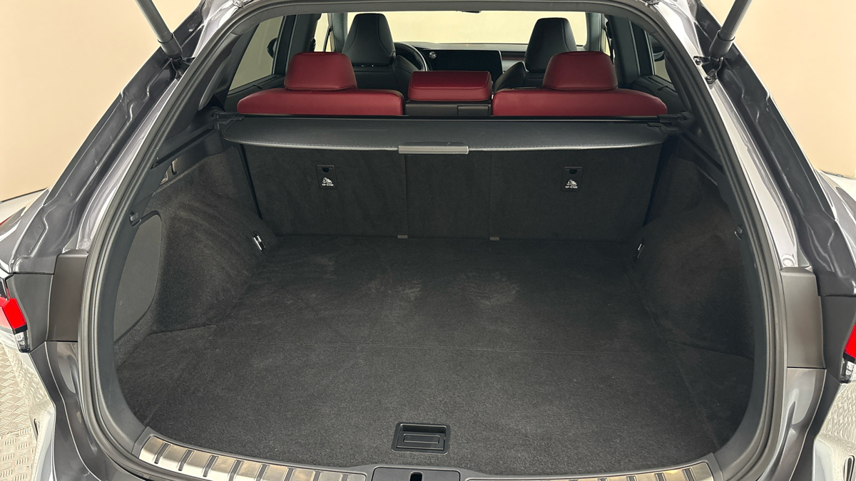 Lexus RX - 17