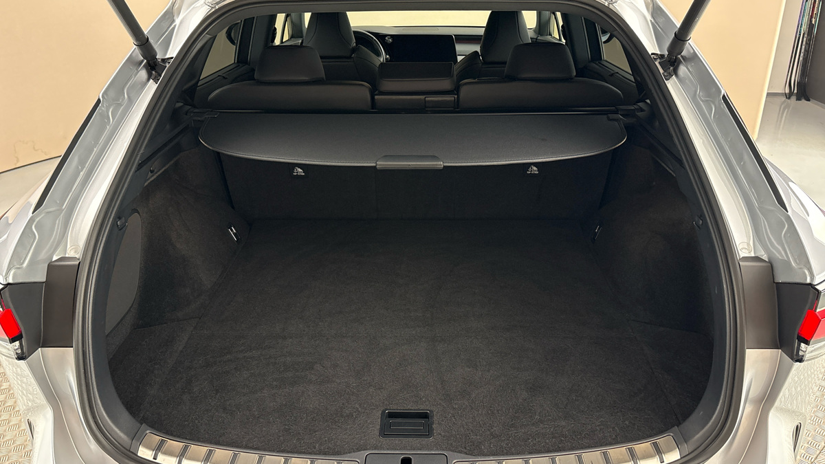 Lexus RX - 17
