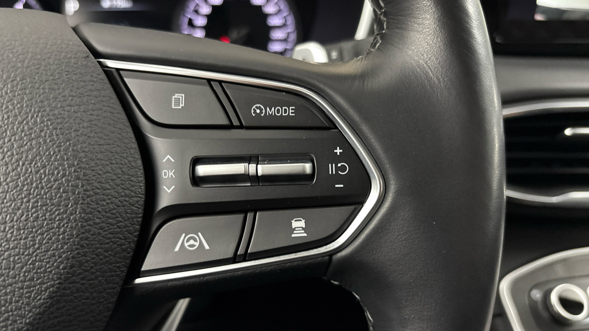 Hyundai Santa Fe - 14